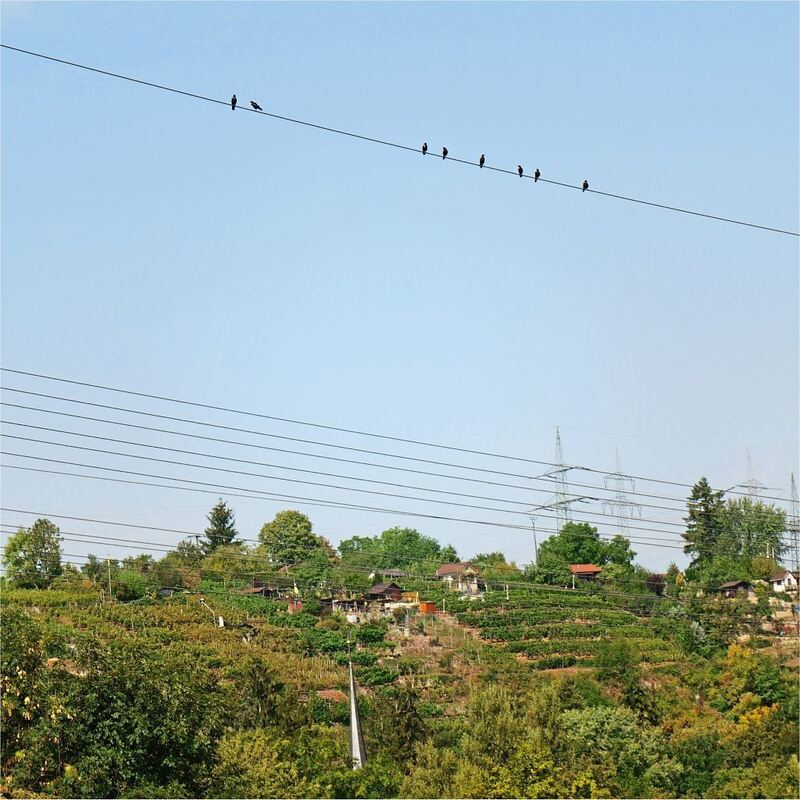 Rundwanderweg_Ludwigsburg_2 (35)