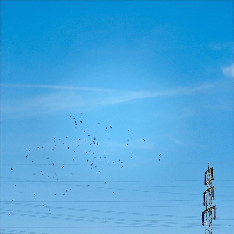 Rundwanderweg_Ludwigsburg_2 (38)