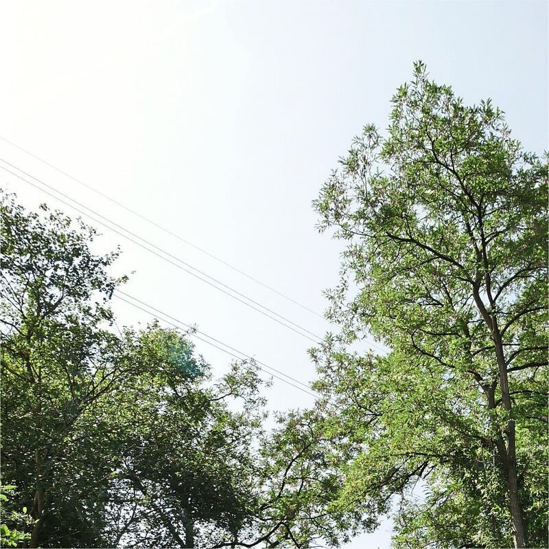 Rundwanderweg_Ludwigsburg_2 (39)