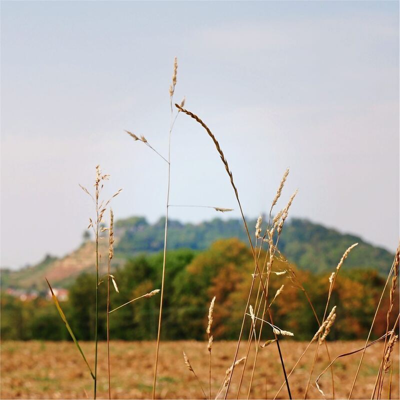 Rundwanderweg_Ludwigsburg_2 (46)