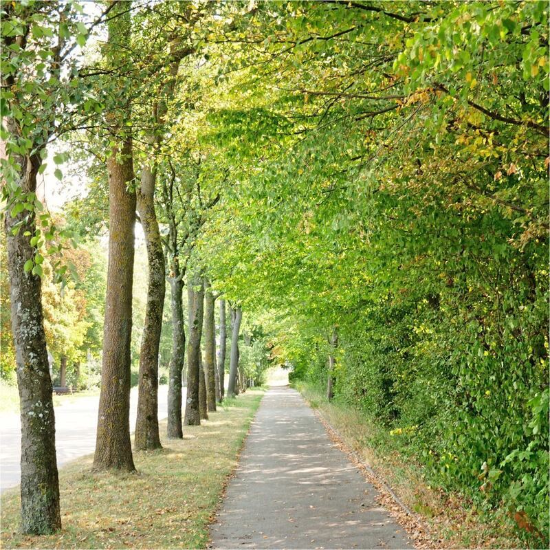 Rundwanderweg_Ludwigsburg_2 (50)