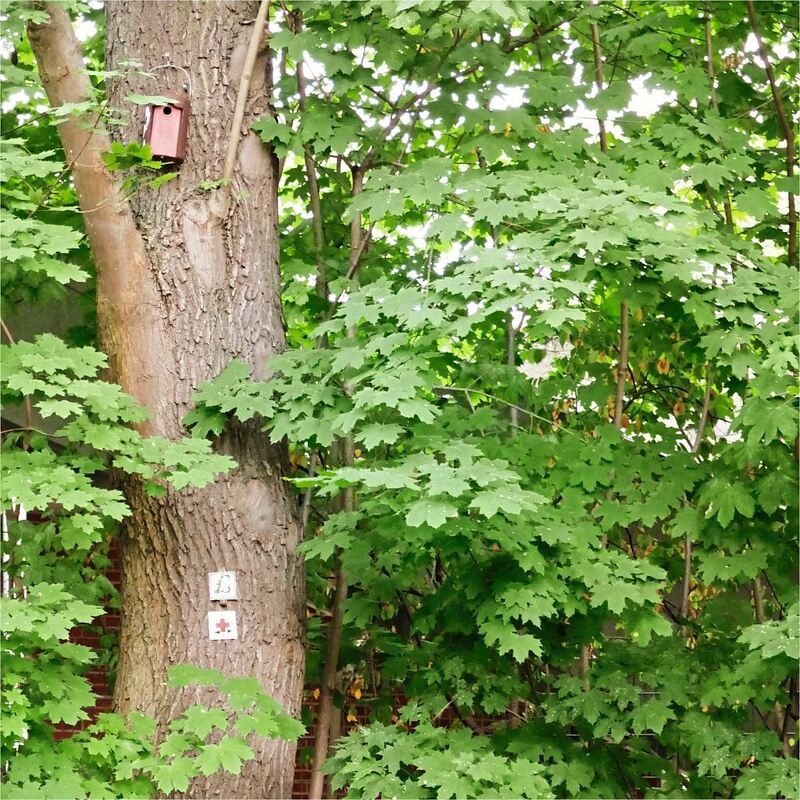 Rundwanderweg_Ludwigsburg_2 (5)