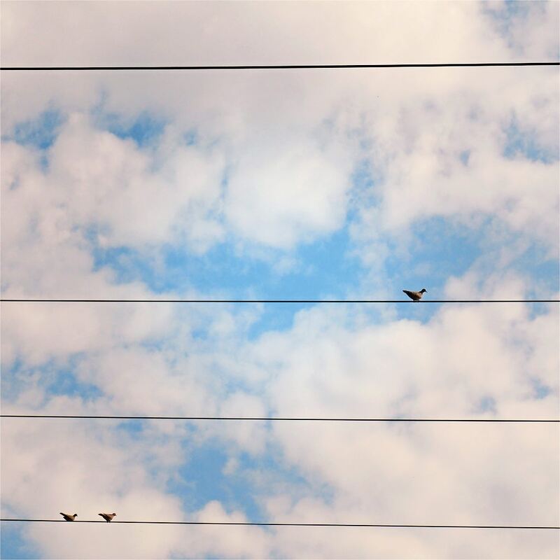 Rundwanderweg_Ludwigsburg_2 (8)