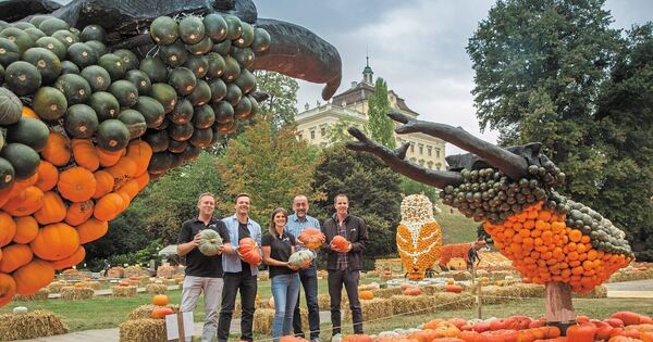 Vielfalt an Farbe, Form und Geschmack - Stadt Ludwigsburg