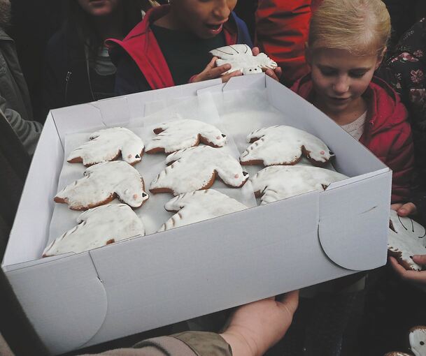 Bürgermeisterin Marie-Noelle Biguinet beim Ehrenmal für die Toten. Die Ludwigsburger Delegation verteilt Friedenstauben aus Lebkuchenteig. Fotos: Stadt Ludwigsburg