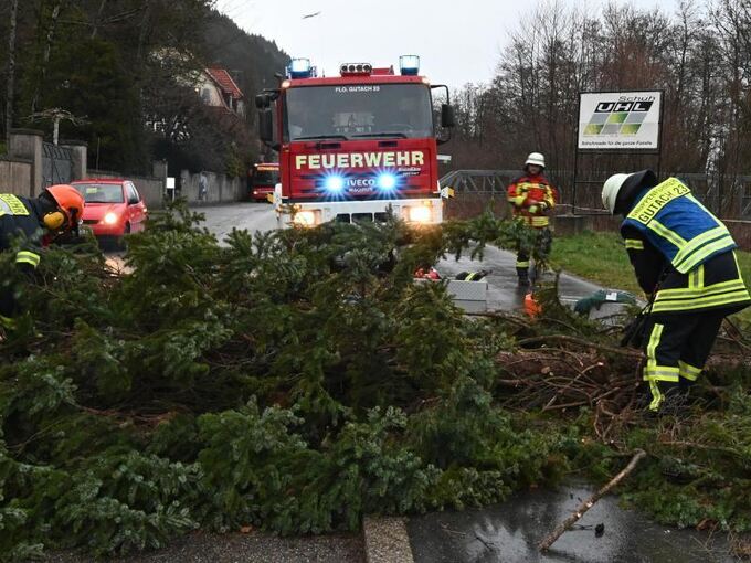 Feuerwehrmänner zersägen einen umgestürzten Baum