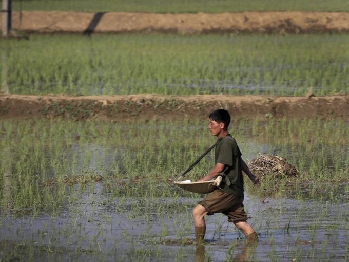 Landwirtschaft Landwirtschaft