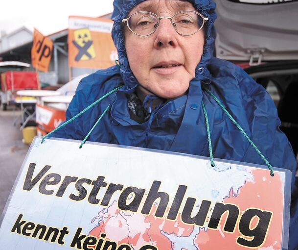 Sie fordern eine Energiewende: Demonstranten in Kirchheim.