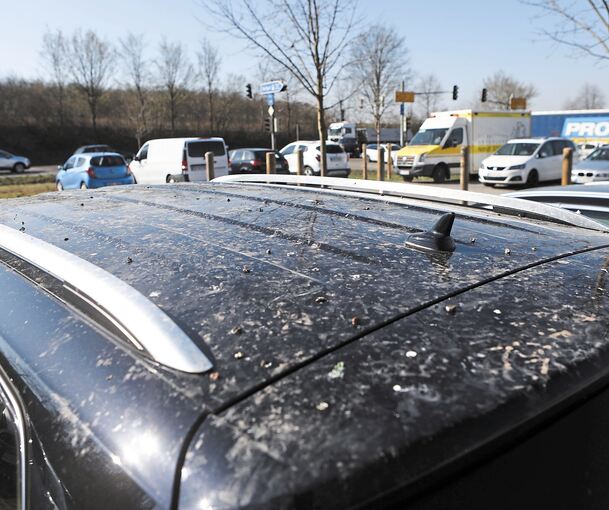 Tauben machen es sich auf den Autos bequem und verrichten dort ihre Notdurft, was zu Schäden am Lack führen kann. Fotos: Ramona Theiss