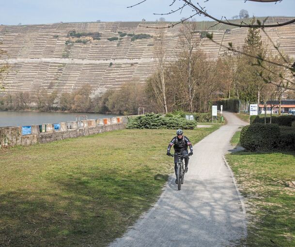 Der Neckartalradweg in Mundelsheim wird für knapp 170 000 Euro asphaltiert. Die Kosten trägt der Landkreis komplett. Archivfoto: Holm Wolschendorf
