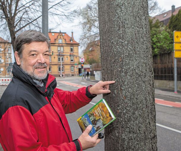 Harald Bartholmeß zeigt, wie man an den Bäumen ablesen kann, wie stark die Luftbelastung ist. Foto: Oliver Bürkle