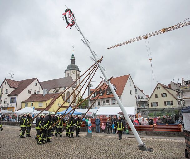 Ende gut, alles gut: Die Feuerwehr stellt auf dem Wettemarkt den Maibaum. Foto: Holm Wolschendorf