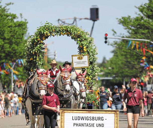 Der Festumzug mit über 150 unterschiedlichsten Pferden und Gespannen, 60 Gruppen und mehr als 1000 Akteuren – ein Kaleidoskop der kulturellen Vielfalt in dieser Stadt.Fotos: Ramona Theiss