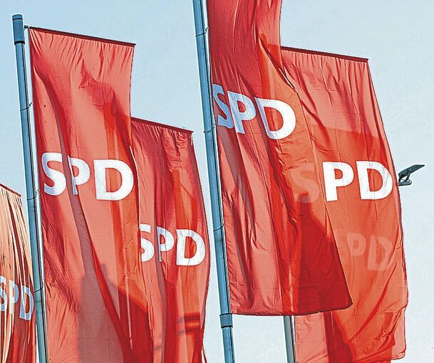 Mit fliegenden Fahnen in den Untergang? Nicht nur für den Pleidelsheimer SPD-Chef Daniel Haas geht es jetzt „um den Fortbestand der deutschen Sozialdemokratie“. Foto: Patrick Seeger/dpa