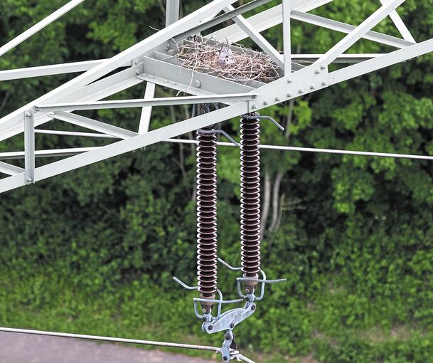 110 000 Volt In Zehn Meter Abstand Landkreis Ludwigsburg