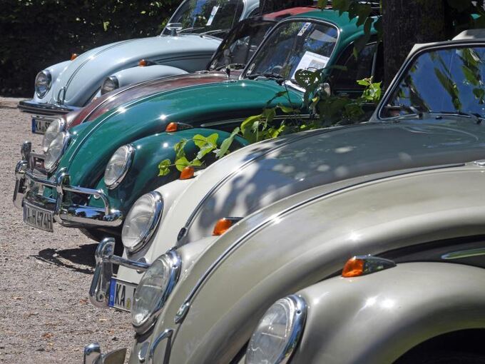 Verschiedene historische VW-Käfer
