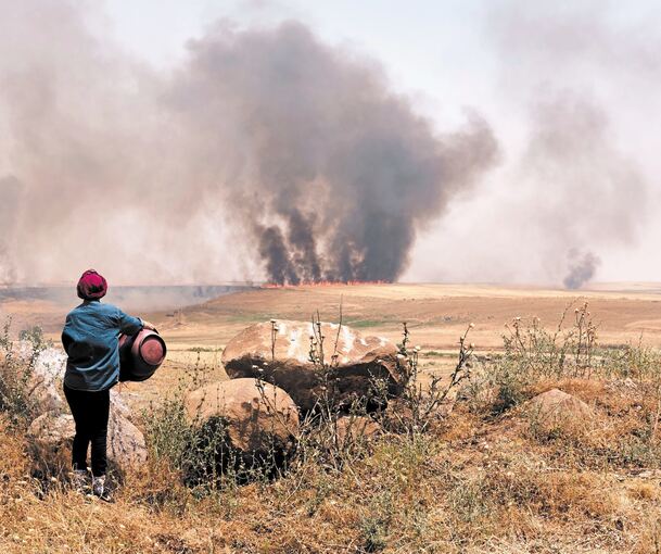 In Brand gesteckte Getreidefelder in der syrischen Region Dschasira. Foto: Rojava Information Center/dpa
