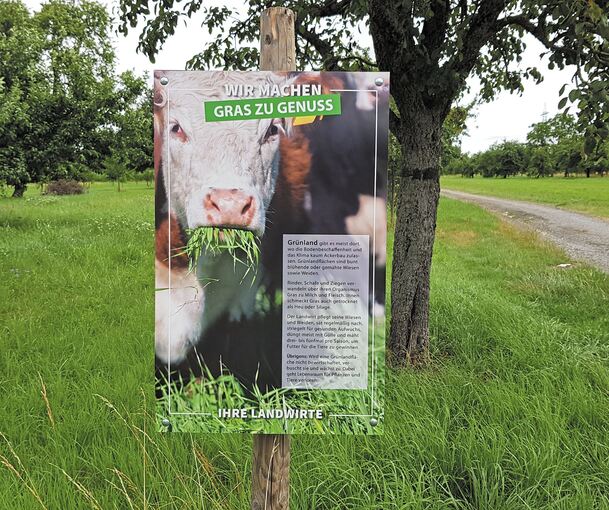 Saftiges Gras, ein Genuss für Tiere. Damit das so bleibt, werben die neuen Plakate an Pleidelsheimer Feldwegen dafür, dass Hundebesitzer die Hinterlassenschaften ihrer Vierbeiner nach dem großen Geschäft mitnehmen. Foto: privat