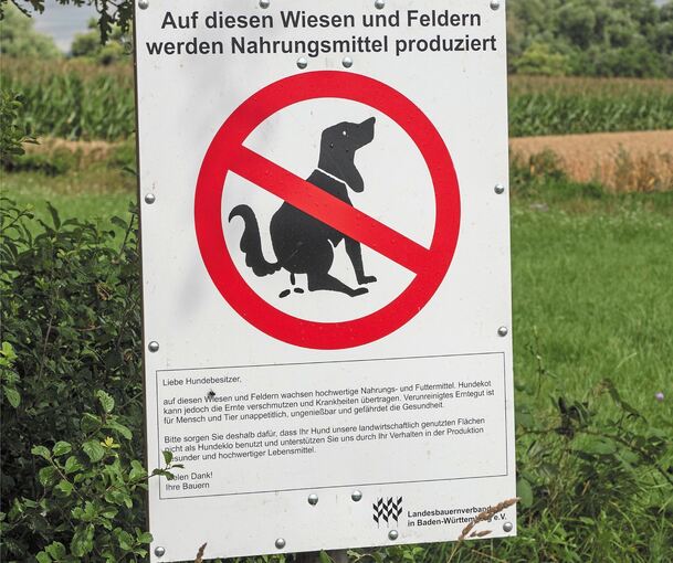 Auch ein Schild, das in Pleidelsheim gehängt ist – allerdings keines der neuen Aktion. Foto: Wolschendorf