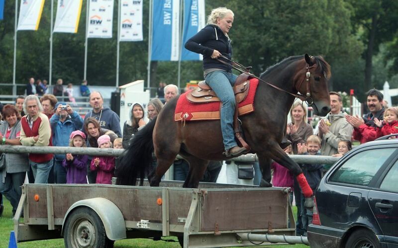 32_Pferdemarkt_2012