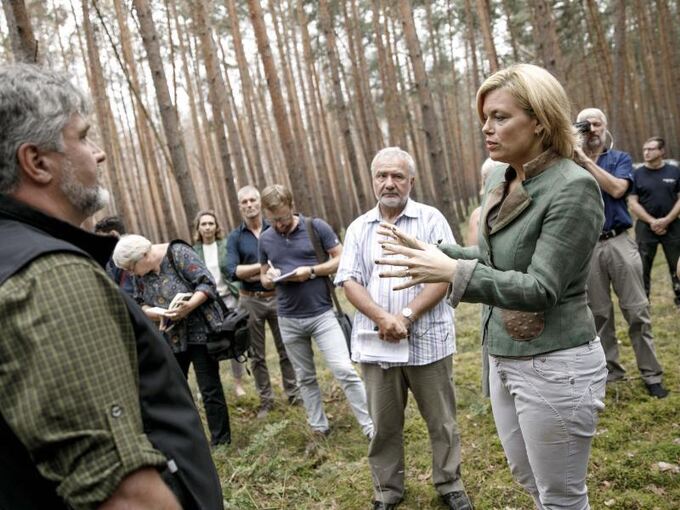 Klöckner besucht Wald bei Treuenbritzen