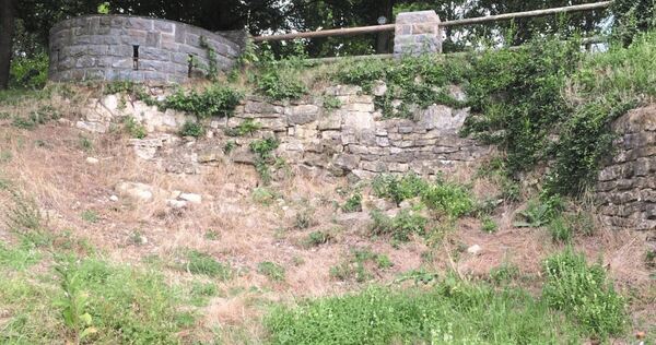 Das ist nur eine Ausbeute mittleren Ausmaßes nach einem Partywochenende am Burgberg.Foto: privat