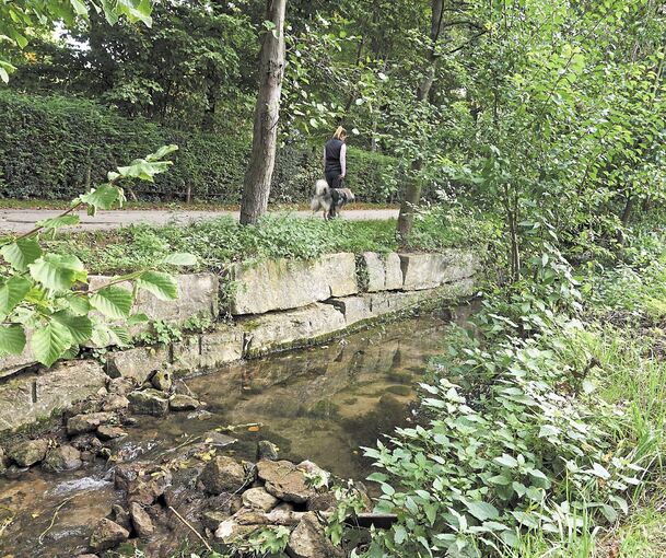 Leudelsbach in Möglingen: Derzeit fließt er gemächlich vor sich hin, doch im Juli 2016 tritt der Bach nach heftigen Niederschlägen über die Ufer und setzt Gebäude unter Wasser. Foto: Andreas Becker