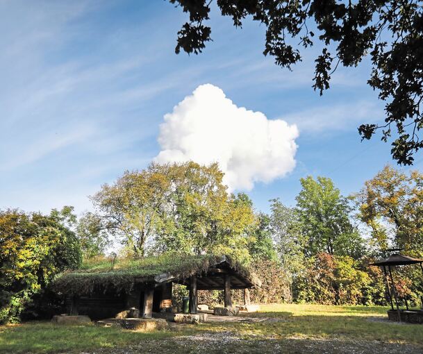 Im „Krabbenrain“ soll ein Naturkindergarten entstehen. Foto: Ramona Theiss