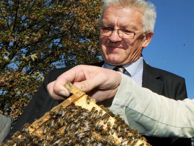 Winfried Kretschmann mit Bienenvolk