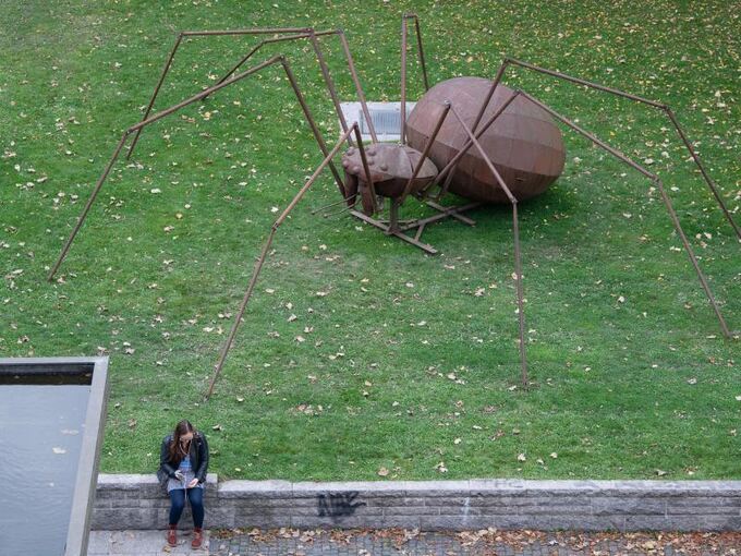 Die Skulptur der Riesenspinne steht auf einer Rasenfläche