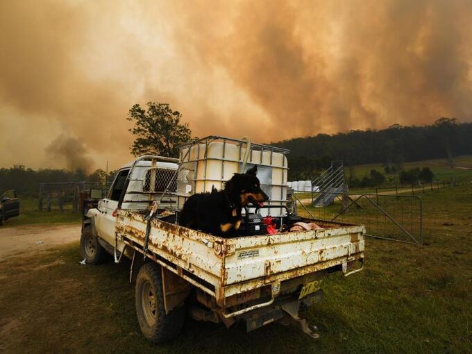Buschfeuer in Australien