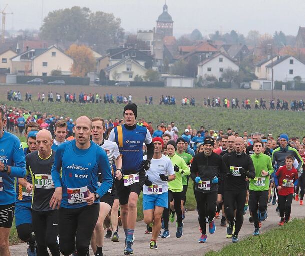 Vor der Kulisse Bönnigheims: Die Sportler legen einige Kilometer zurück. Links vorne läuft Blüba-Chef Volker Kugel. Fotos: Alfred Drossel