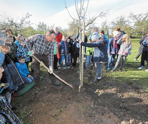 Gespannt verfolgen die Grundschüler, wie Jörg Dessecker vom Landschaftspflegetrupp des Schwäbischen Albvereins den ersten der 22 neuen Streuobstbäume einpflanzt.Foto: Ramona Theiss