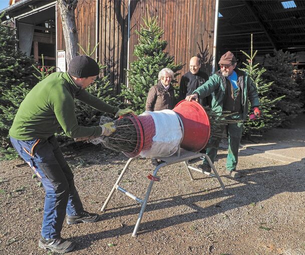 Michael Waidelich (links) und sein Vater Friedrich bereiten einen Weihnachtsbaum für den Transport vor. Elise Nassal aus Heimerdingen hat die Rotfichte für 20 Euro gekauft; ihr Sohn Thomas, der hinter den Verkäufern neben ihr steht, hilft beim Abhole