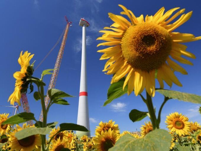 Windenergieanlage in Brandenburg