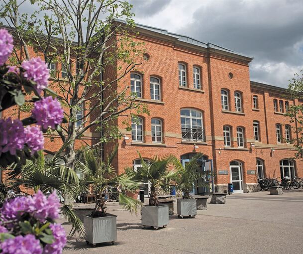 Studenten Fehlanzeige: An der Filmakademie (links oben), der Pädagogischen Hochschule (rechts oben), der Verwaltungshochschule (rechts unten) und der Evangelischen Hochschule sieht man derzeit kaum junge Menschen. Alle Lehrveranstaltungen wurden abge