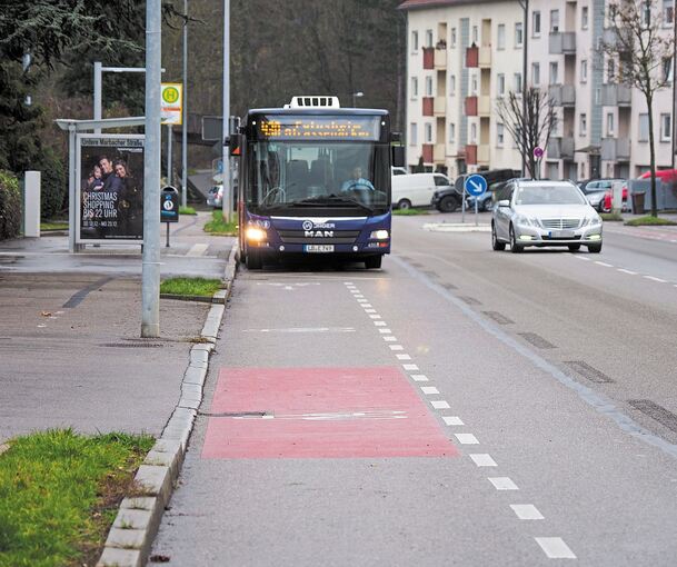 Bisher ist es nur ein Radweg. Doch einige Stadträte fordern nun eine Umweltspur, die sich Busse und Radfahrer teilen. Foto: Holm Wolschendorf