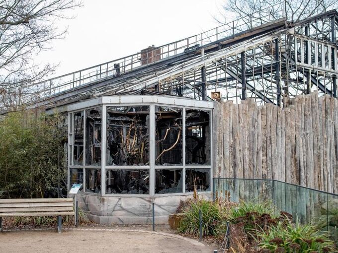 Nach dem Brand im Krefelder Zoo
