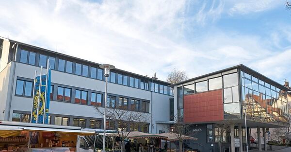 Residential and commercial areas could be built here in Erdmannhausen