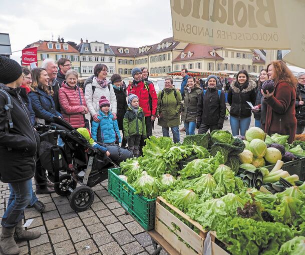 Die Energiehelden beim Rundgang über den Wochenmarkt. Foto: Holm Wolschendorf