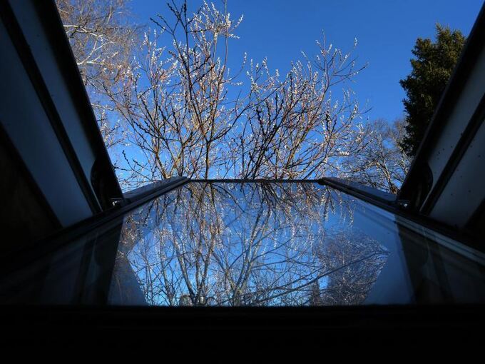 Palmkätzchen vor blauem Himmel spiegeln sich im Dachfenster