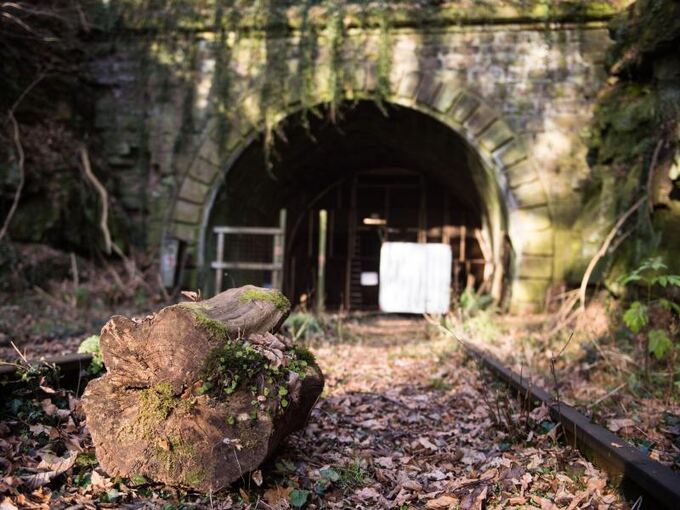 Ein verwitterter Holzklotz liegt vor Tunneleingang