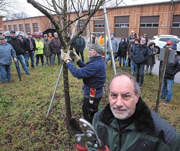Roland Schmidbleicher (vorne) und Dr. Kurt Hirsch zeigen den richtigen Baumschnitt in Besigheim.Foto: Alfred Drossel