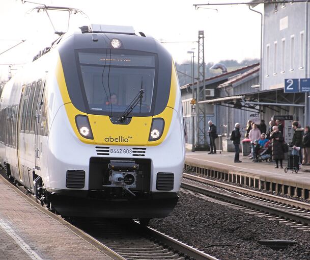 Sorgt immer wieder für Unmut: die Frankenbahn. Archivfoto: Alfred Drossel