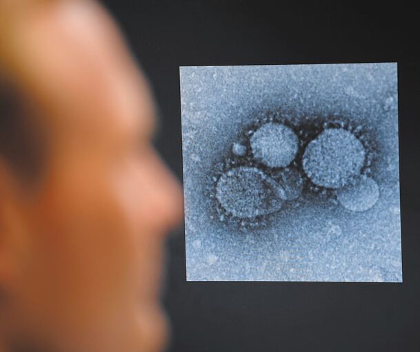 Ein Virologe blickt auf eine Mikroskopaufnahme: Forscher suchen derzeit weltweit nach einem Impfstoff gegen das Coronavirus. Foto: Arne Dedert/dpa