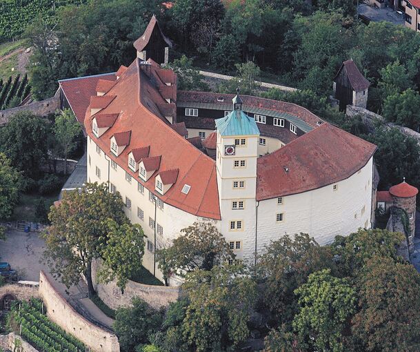 Das leer stehende Schloss Kaltenstein hoch über Vaihingen.Foto: Alfred Drossel