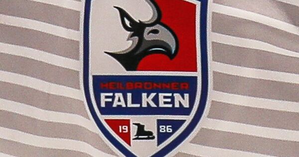 Insolvenz: Die Falken.