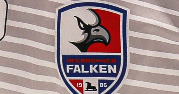 Das Logo der Heilbronner Falken.