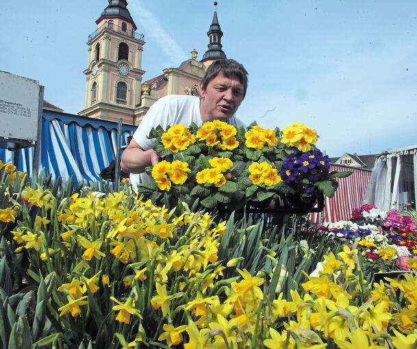 Auf dem Wochenmarkt dürfen erst ab dem nächsten Dienstag wieder Blumen verkauft werden. Archivfoto: Alfred Drossel