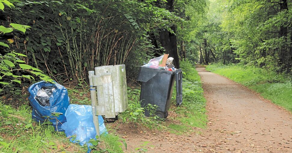 Unser Symbolbild zeigt illegal entsorgten Müll entlang eines Waldweges. Archivfoto: Stock Adobe